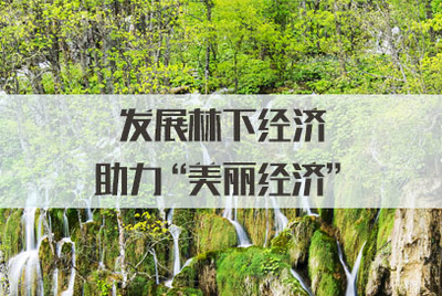 發(fā)展林下經濟，拓展銷售渠道，讓‘美麗經濟’更富生機