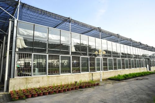 我省優(yōu)異農(nóng)業(yè)種質(zhì)資源閃亮世界園藝博覽會(huì)，展現(xiàn)農(nóng)業(yè)園藝服務(wù)新高度