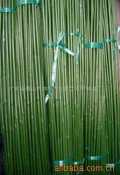 探索園藝與農(nóng)業(yè)工具產(chǎn)品與服務(wù) 從基礎(chǔ)工具到專業(yè)解決方案