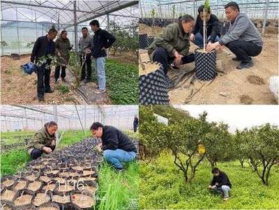 科技春風(fēng)吹進(jìn)湘西 園藝專家田間地頭助春耕
