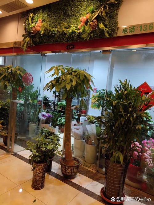園藝專業多元就業路徑 從種植到服務的職業前景探索